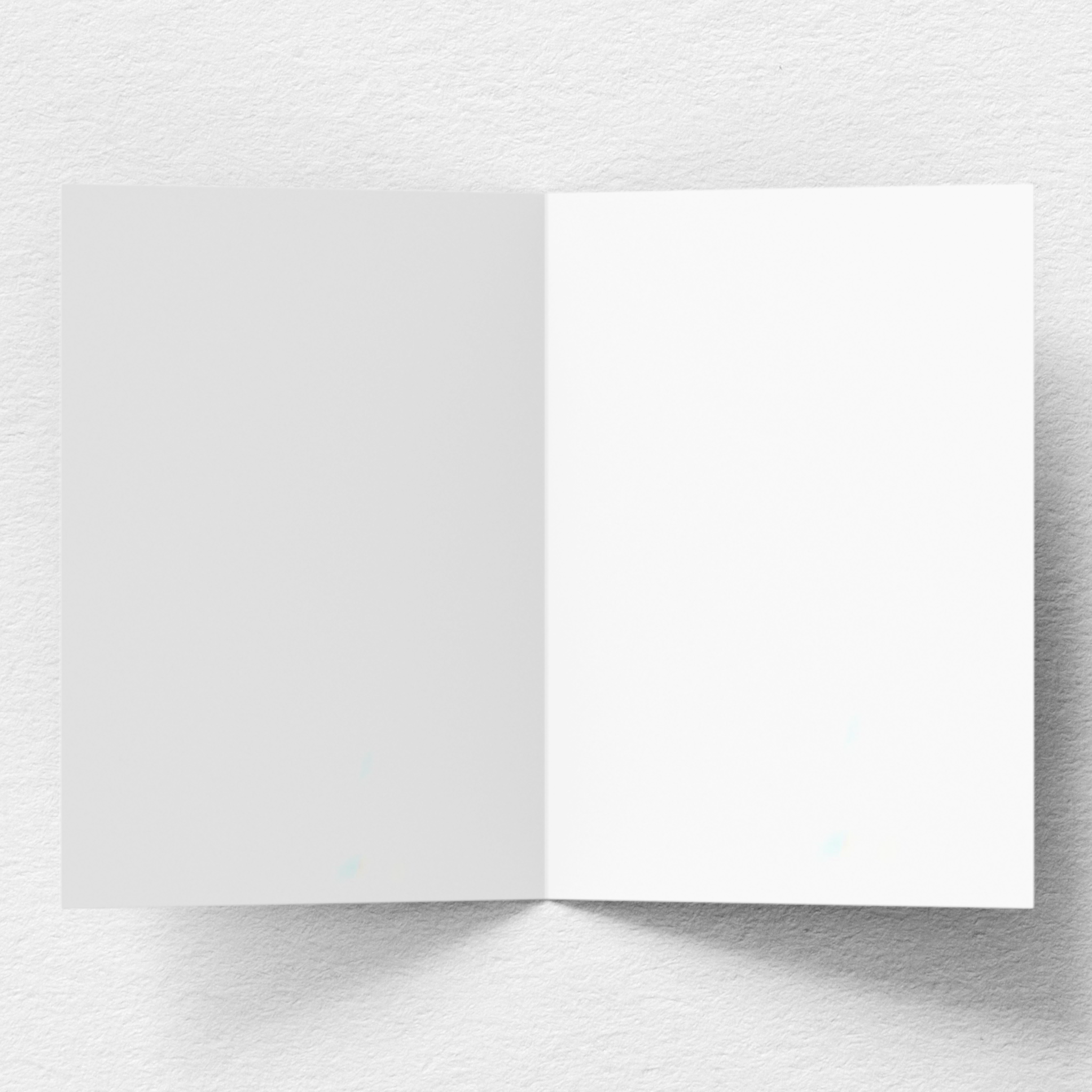 Merry Christmas Greeting Card D0