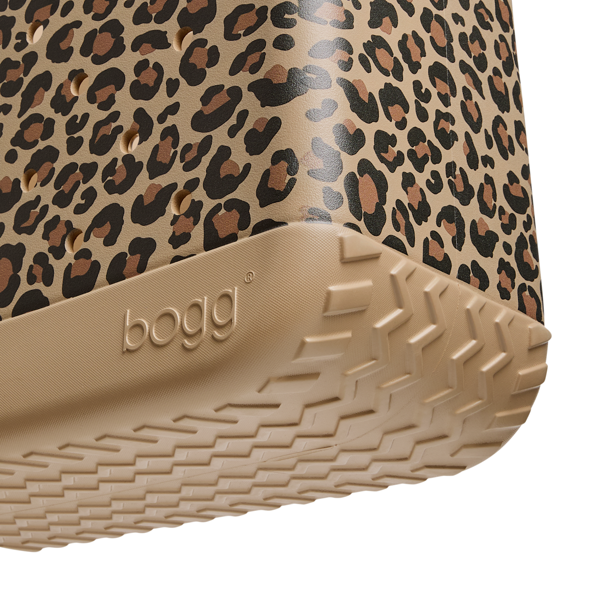 Original - I Am Leo, Hear Me Roar H5